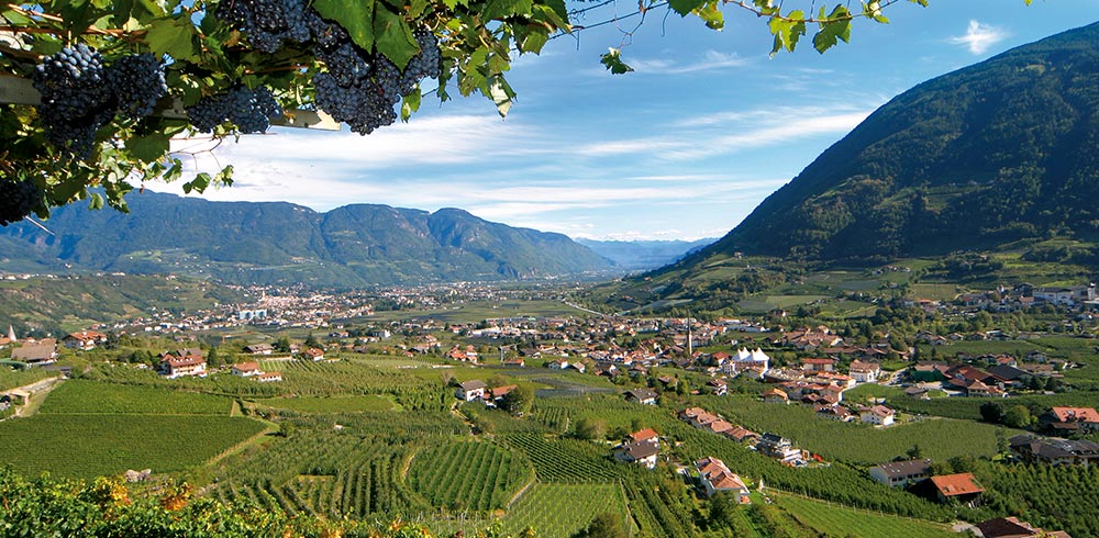 Blick über Algund im Meraner Land